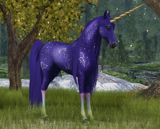=CH= Starry Night Horse Coat
