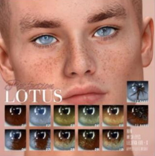 1. LOTUS. Perfection Eyes [boxed]