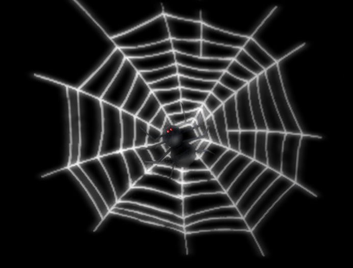 Spider with Cobwebs Black and White