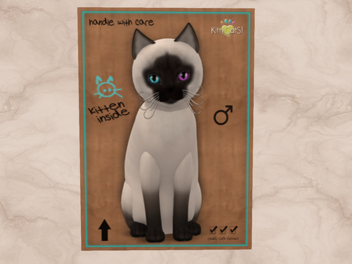 Meow Manor-Siamese - Chocolate