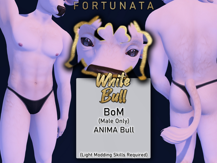 .::F::. White Bull (Add to Unpack!)