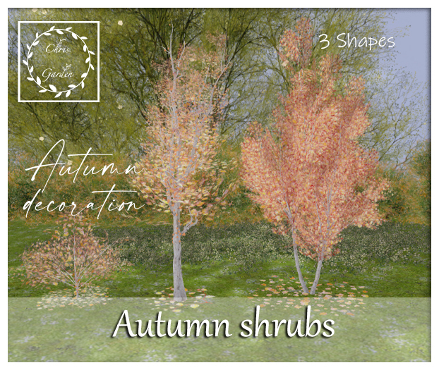 C*Autumn shrubs 3 Shapes