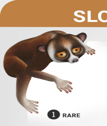SEmotion Libellune Slow Loris Animesh RARE 01