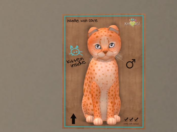 KittyCatS Box - New Born Kitten Fur: Cheetah Tangerine No. 2