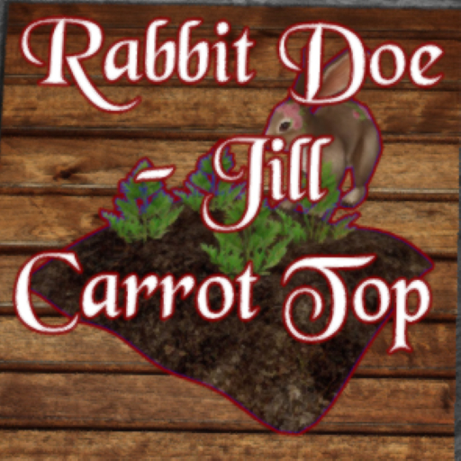 DFS Rabbit Doe - Jill Carrot Top