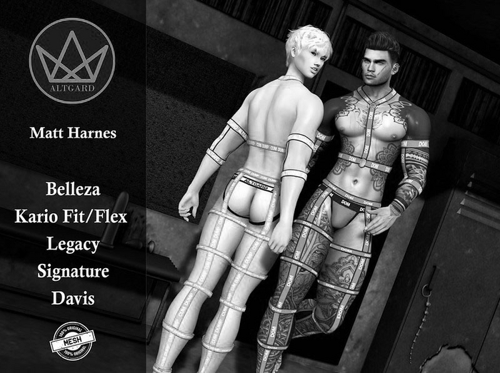 ALTGARD - Matt Harnes [DEMO]