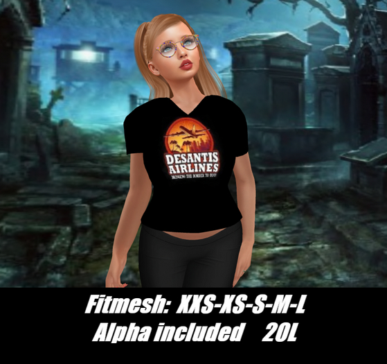 DESANTIS AIRLINES-Ladies V-neck T-shirt