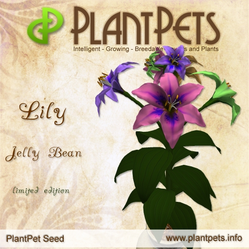 PlantPet Seed [Lily *Jelly Bean*]