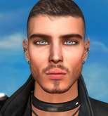 ::SELLEN:: Shape BLADE LeLUTKA EVO X Alain Head 3.1