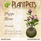 PlantPet Seed [Petite Rose *Penelope*]