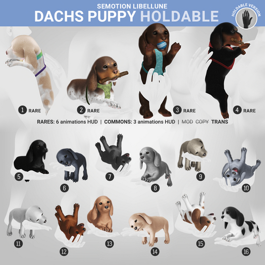 5. SEmotion Libellune Dachs Puppy Holdable