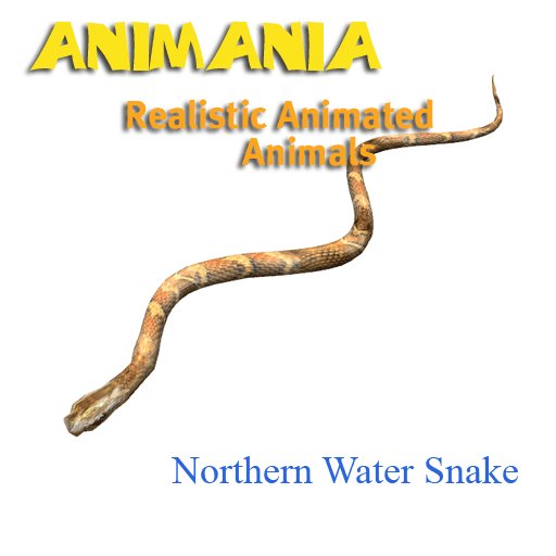 Animania Northern Water Snake