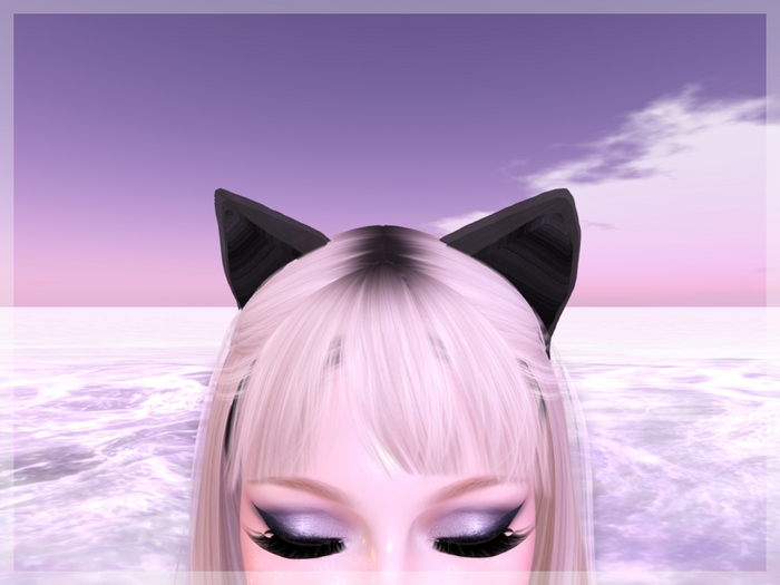Majestic.+ Black Cat Ears