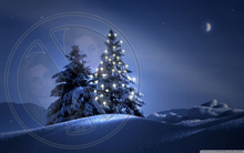 664 - Winter - Christmas - Illuminated Tree - Snow - Dark - Moon - Land Divider - Background - Privacy Screen