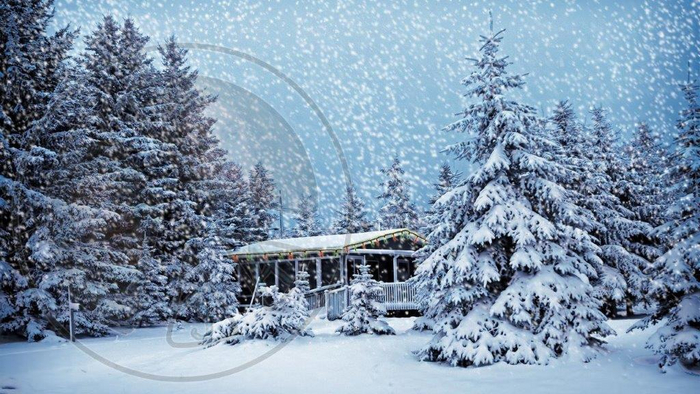 670 - Winter - Christmas - House - Cottage - Snow - Pine Trees - Land Divider - Background - Privacy Screen