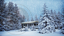 670 - Winter - Christmas - House - Cottage - Snow - Pine Trees - Land Divider - Background - Privacy Screen