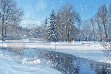 672 - Winter - Christmas - Landscape - Snow - Trees - Snowing - Blue Sky - Little Stream - Land divider  Privacy Screen 