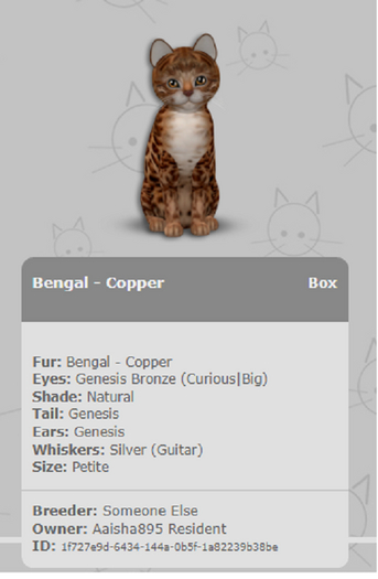 KittyCatS Box - Bengal - Copper