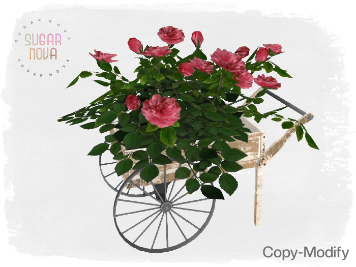 SN -  Old Shabby Cart Planter with Wild Roses