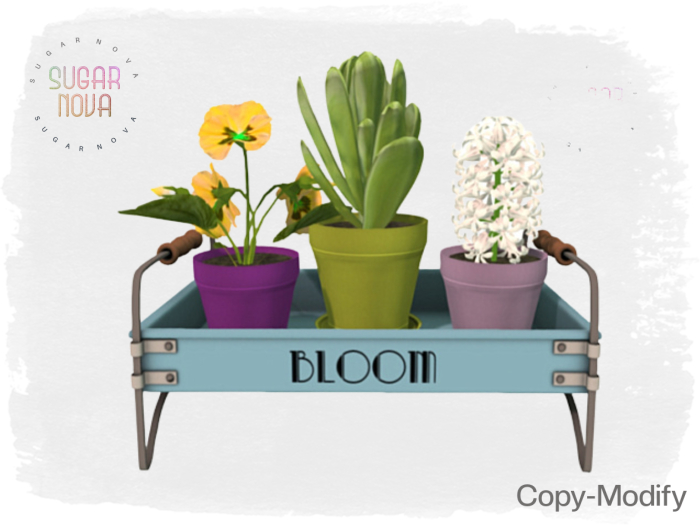 SN - Bloom Tray - With Plants Decor