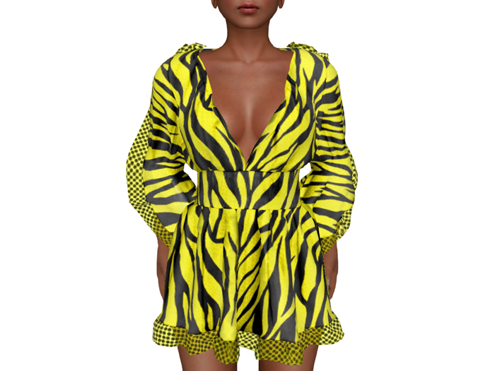 Tunic Dress Tiger Butterfly