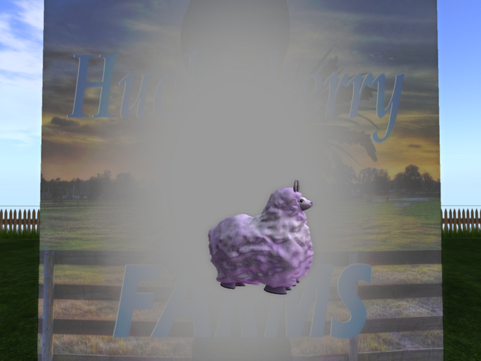 DFS Llama - Vday Fluffy Love Pygmy Male