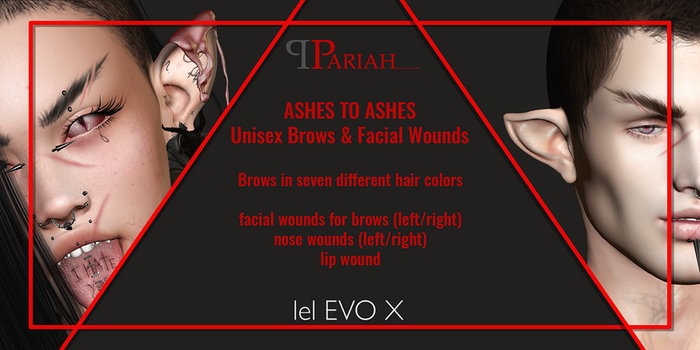 .:.Pariah.:. Ashes To Ashes Brows