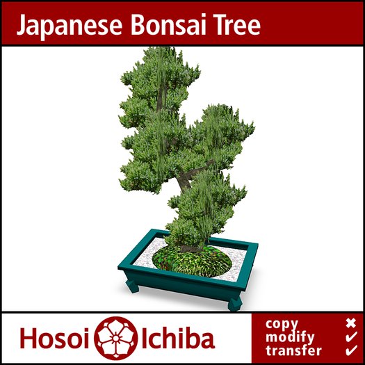 Discount - Antique Japanese Bonsai Tree - 04
