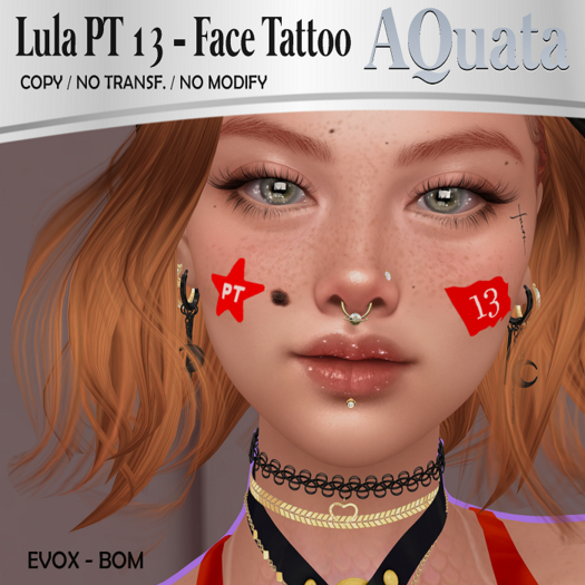 AQuata - Lula PT 13