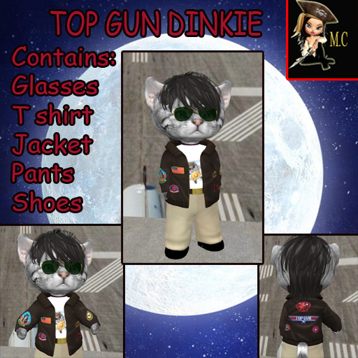 Top Gun Dinkie