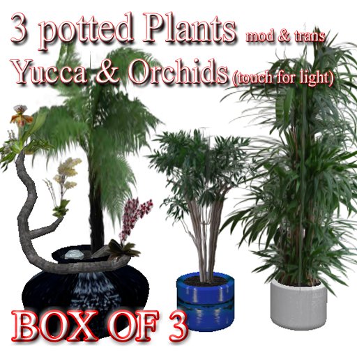 3 potted plants Yucca & Orchids (touch for light)