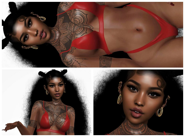 Ege's shape Vanessa Genus Head