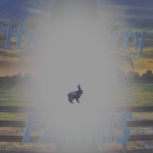 DFS Rabbit Buck - Mr Hoppity Baskets (Easter 2022)