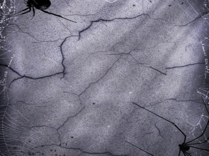Spider Wall Texture