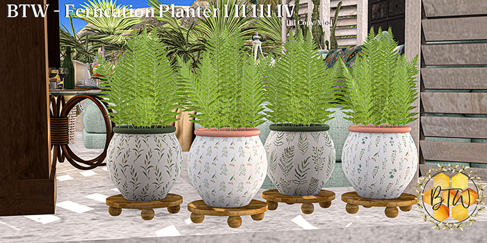 BTW - Ferncation Planter Set