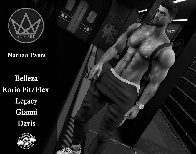 ALTGARD - Nathan Pants [DEMO]
