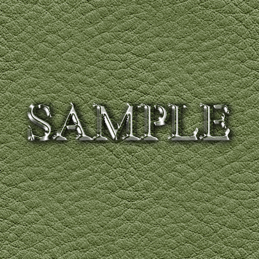 Zoy Texture [ Real Leather 03 ] Seamless - Healing Green