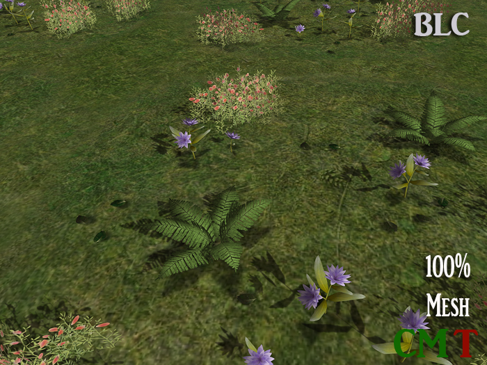 BLC Summer Ground Pack