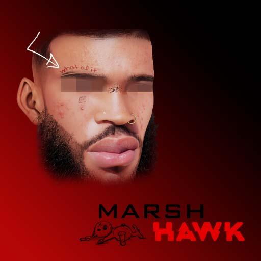 //  Marsh Hawk  \\ WHAT OF IT