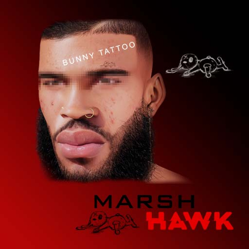 //  Marsh Hawk  \\ BUNNY TAT