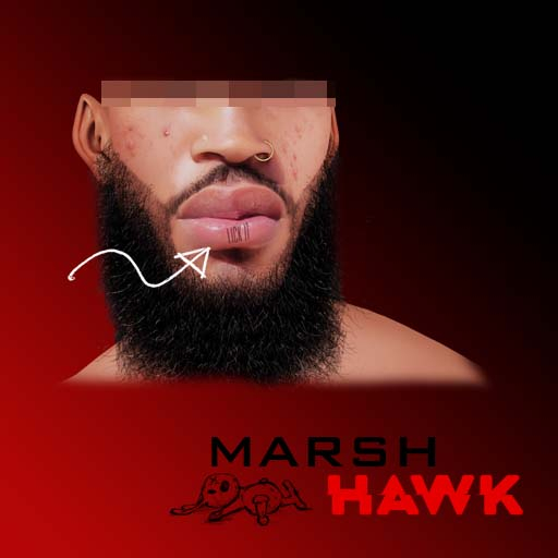 //  Marsh Hawk  \\ LICK IT (LIP)