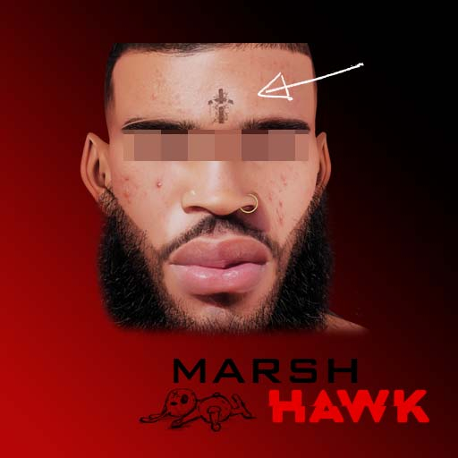 //  Marsh Hawk  \\  CROSS