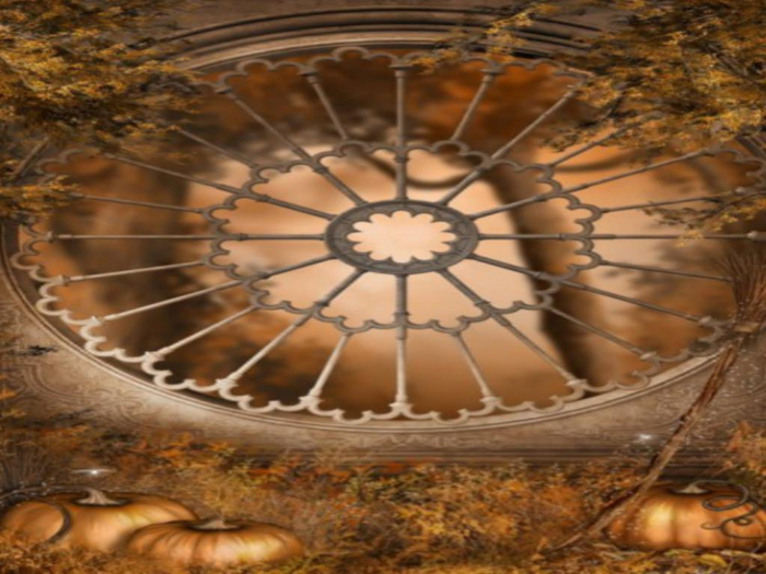 Autumn Visions Texture