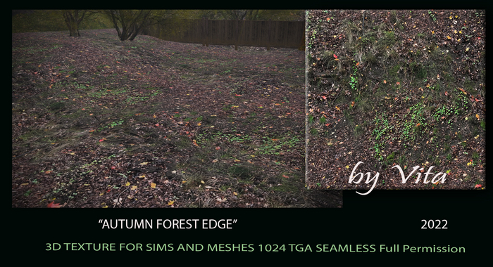 Vita's 3D Ground Texture - AUTUMN FOREST EDGE