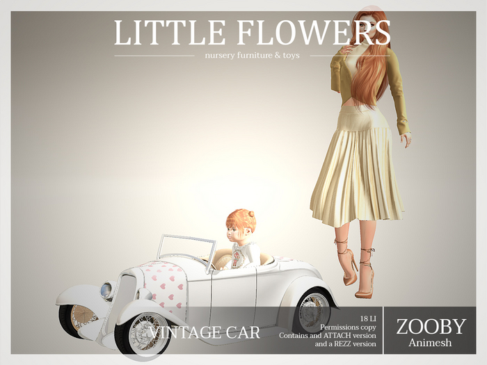 Car Citrus - Zooby