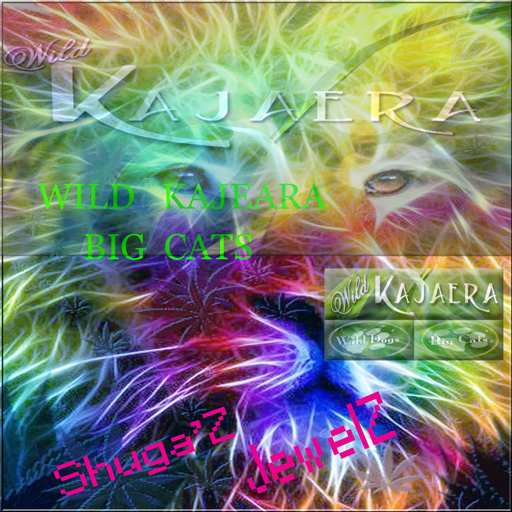 SamEx
