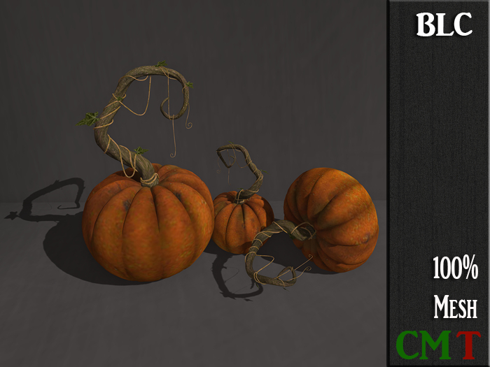 BLC triple pumkin