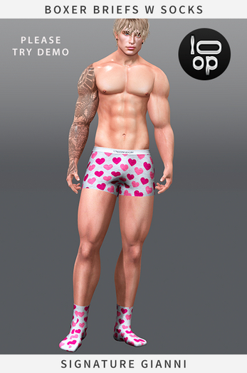[loop] Boxer Briefs w Socks 05 Signature