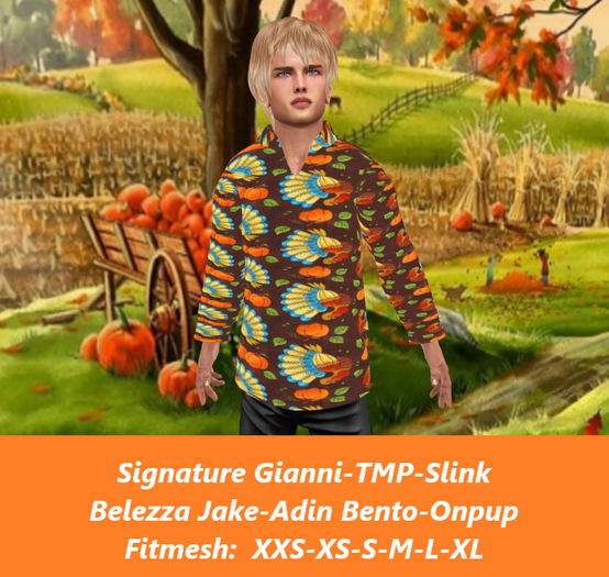 Thanksgiving LS Shirt-Turkeys