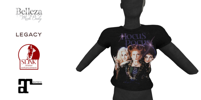 Hocus Pocus Classic Womens Tee DEMO
